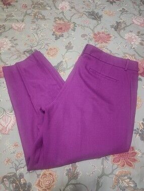 J. Crew Factory Skimmer City Fit Pants Purple Size 14